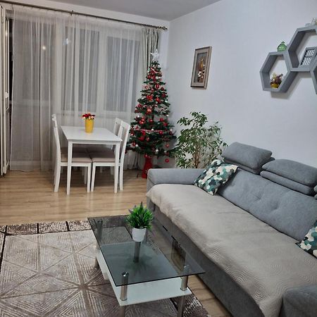 Apartament Ultra Central Marly גורה הומורולווי מראה חיצוני תמונה